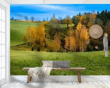 A view of the amazing and idyllic Norwegian landscape. Autumn picture of mountains and rivers.