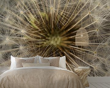 Rural Panorama: A fluff ball of a Dandelion