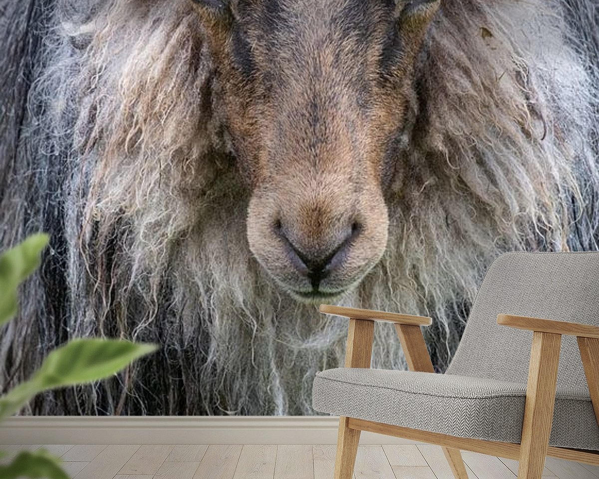 Raumvorschau