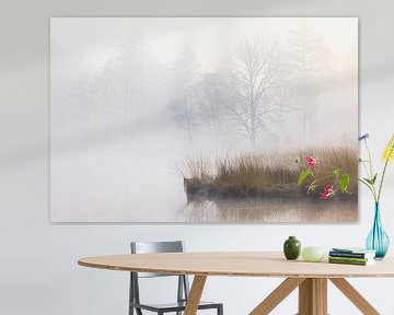 Mist tijdens zonsopkomst Dwingelderveld - Zandveen (Drenthe) Nederland