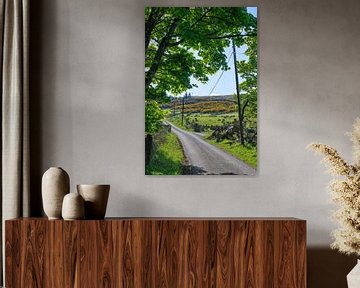 Argyll & Bute, Écosse. Paysage sur Pascal Raymond Dorland