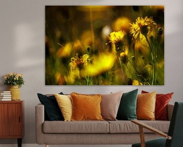 Bright dandelions by Jan
