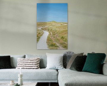 Fietspad door de duinen van Vlieland van Jan
