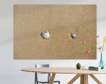 Zwei Muscheln im Sand von Jan