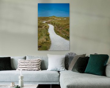 Fietspad op Vlieland van Jan