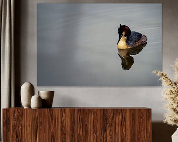 Fuut reflectie in het water van Art By Light Photography