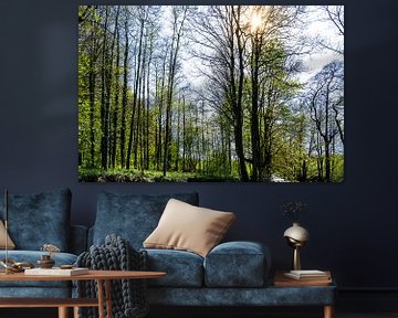 Zonnig boslandschap, zachte bosgloed van Daisy Renders