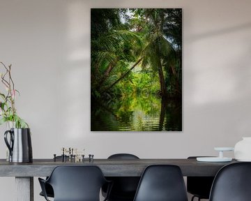 Indian river Dominica van Ron van der Stappen