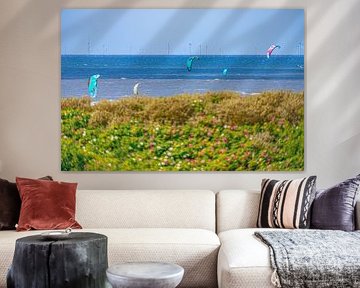 Mer du Nord avec fleurs