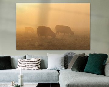 Schotse Hooglanders zonsopkomst Oudemolen - Drenthe (Nederland) van Marcel Kerdijk
