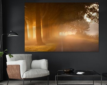 Zonsopkomst in nevel langs een boomrijke laan in Drenthe van KB Design & Photography (Karen Brouwer)
