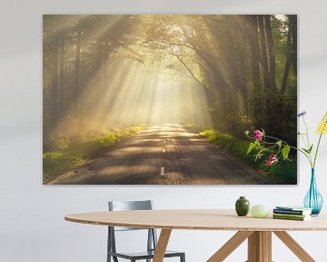 Zonneharpen in het bos bij Spier op een magische ochtend van KB Design & Photography (Karen Brouwer)