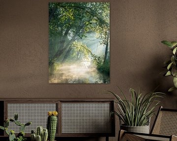 Atmospheric forest scene by Elise van den Boogaart