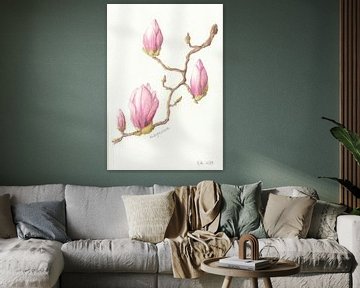 Botanische tekening - Magnolia van Esthers Nature Studio