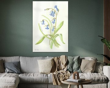 Botanische tekening - Wilde hyacint van Esthers Nature Studio
