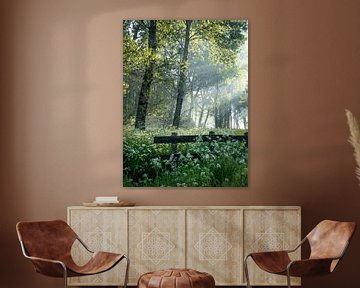 Through the trees by Elise van den Boogaart