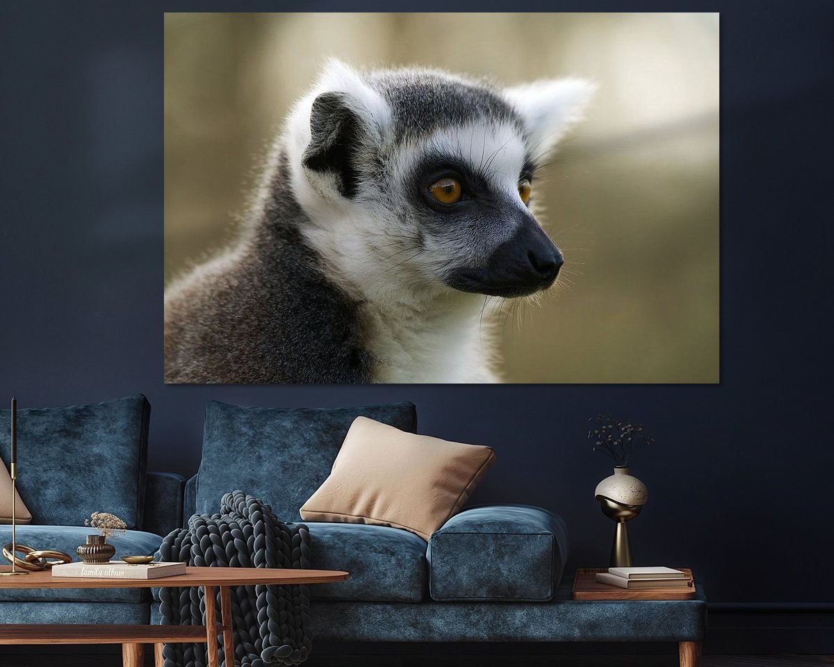 Raumvorschau