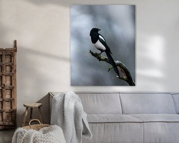 Magpie on a grey day by Liebregts Fotografie
