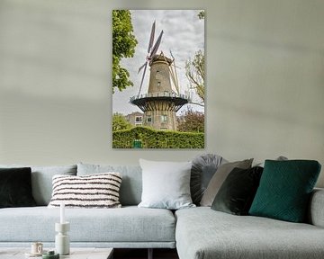 Molen Hellevoetsluis