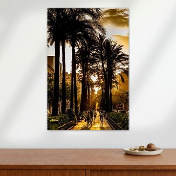 Palmenallee Valencia