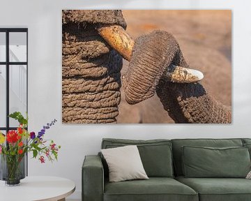 Elephant love by Chris Stenger