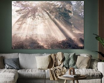Beautiful sun harps in the early morning by Marleen van der Schoot