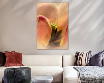 Tulp in zachte vorm. van Alie Ekkelenkamp