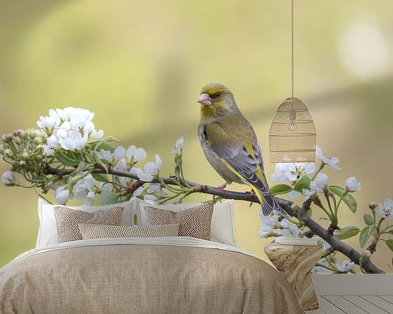 Aperçu de la chambre