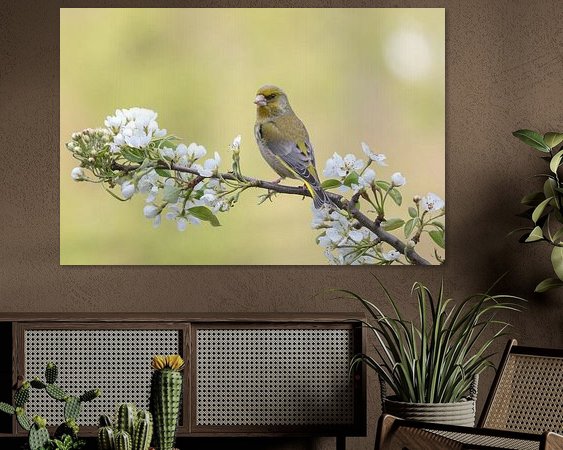 Aperçu de la chambre