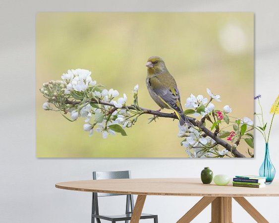 Aperçu de la chambre