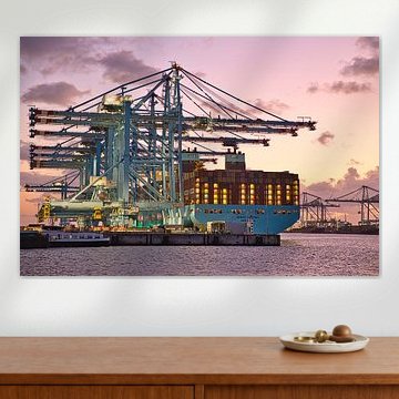 APM Terminals Maasvlakte à Rotterdam 2