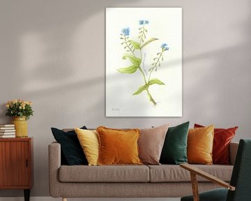 Botanische tekening - Vergeet-me-nietje van Esthers Nature Studio