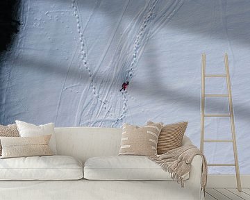 Spuren im Schnee - der einsame Skifahrer von Nico van Maaswaal