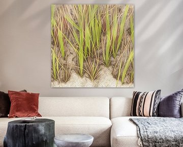 Gefluister in het duin van Vythryd Arts