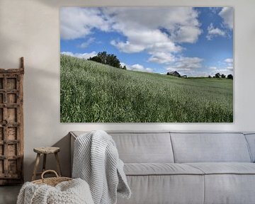 An oatfield in summer by Claude Laprise
