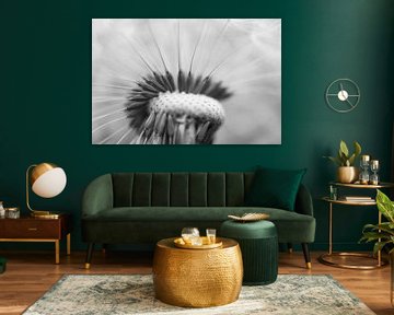 Serene dandelion by Astrid Brouwers