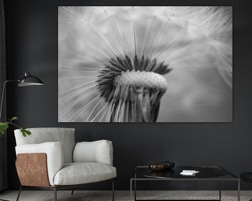 Serene dandelion by Astrid Brouwers