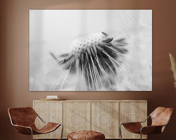 Serene dandelion by Astrid Brouwers