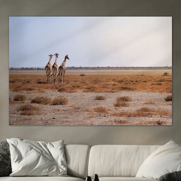 Giraffen genieten van het uitzicht van Tjana Photography