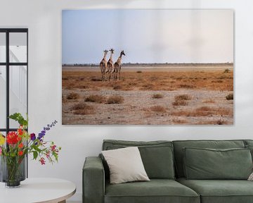 Giraffes enjoy the view by Tjana Photography