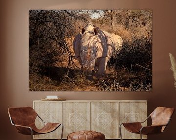 Running rhinoceros by Tjana Photography