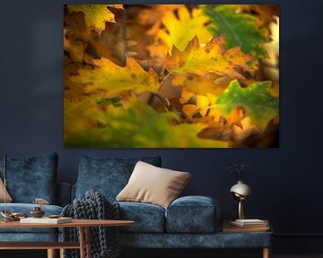 Bold colours of autumn leaves by Joyce van Dijk Fotografie