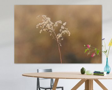 Serene beauty in the beautiful Deurnese Peel with organic and rde tones by Joyce van Dijk Fotografie