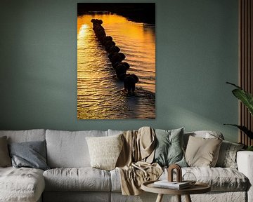 Olifanten bij zonsondergang rivier van Art & Soul Creations
