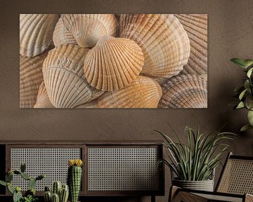 Panorama strandgevoel! Schelpen in oranje - beige kleuren van Marjolijn van den Berg