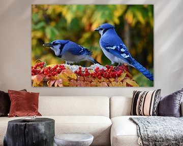 A blue jay in autumn by Claude Laprise
