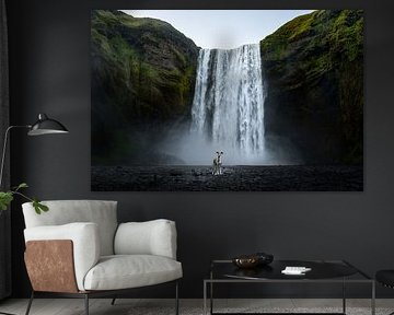 Greyhound at Skógafoss by Traveling dogs
