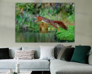 Squirrel
