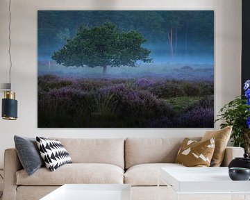 Silent Morning on the Heath at Roestelberg by Zwoele Plaatjes