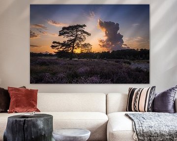 Tree versus Cloud - A Duel at the Heath by Zwoele Plaatjes